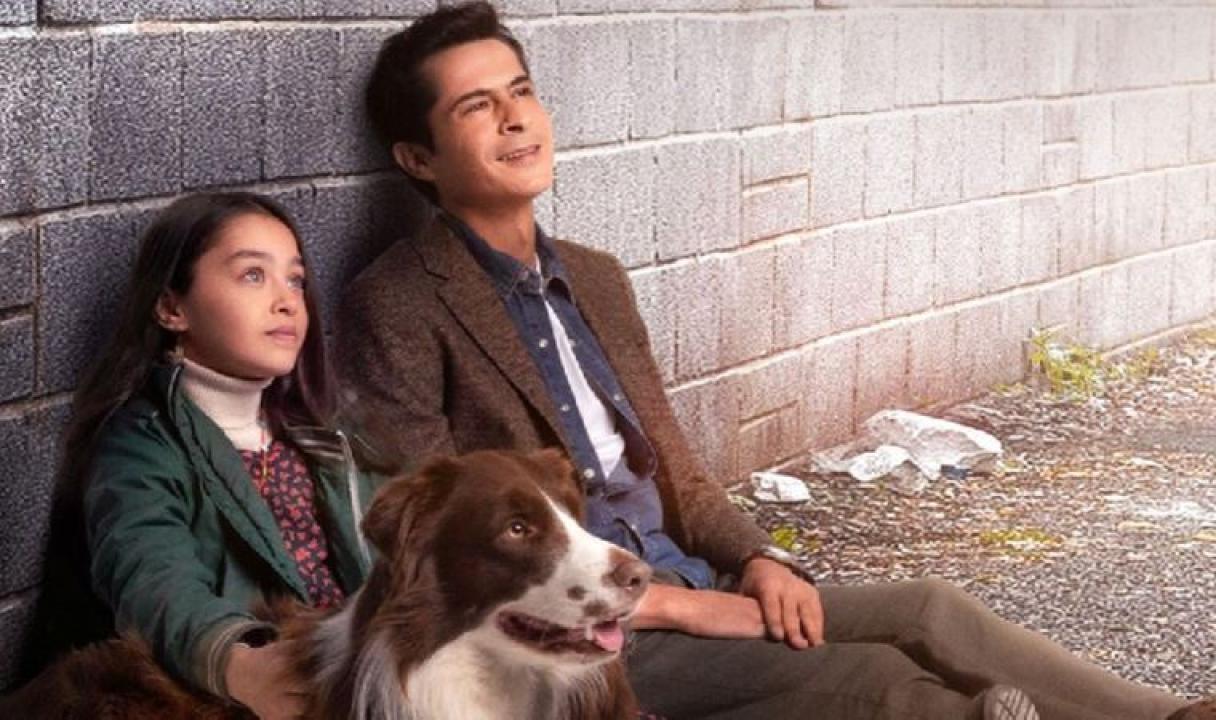 مسلسل اميرة بلا تاج