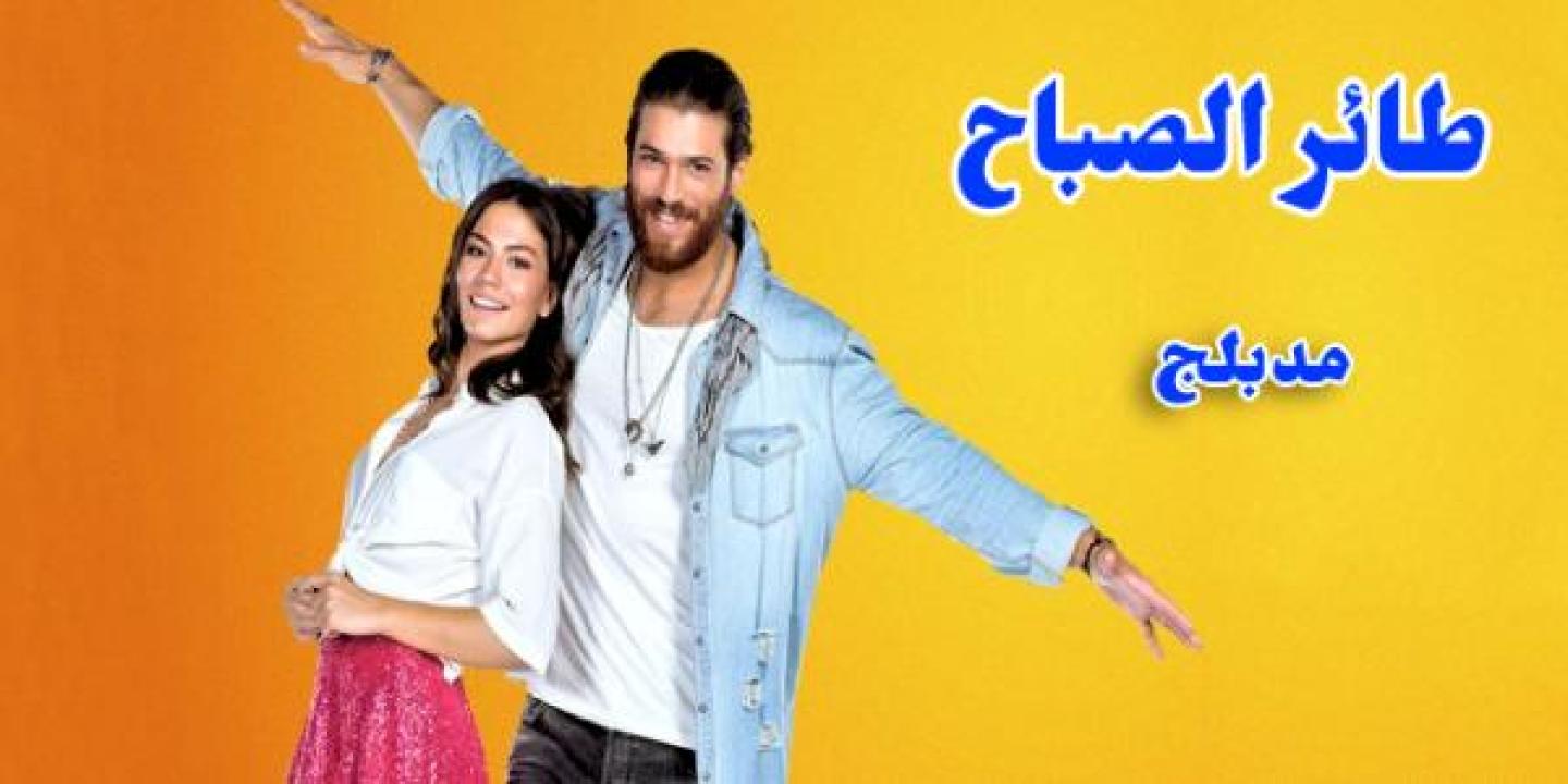 مسلسل طائر الصباح مدبلج