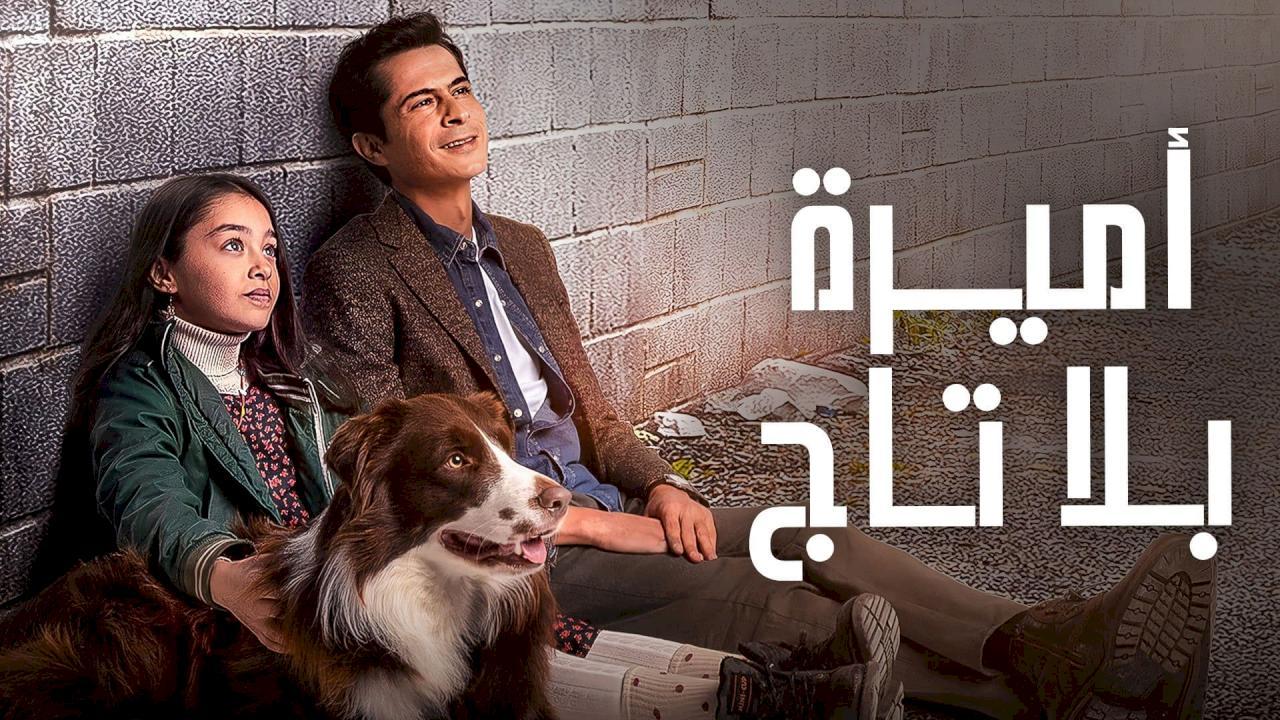 مسلسل اميرة بلا تاج الحلقة 40 مدبلجة للعربية HD